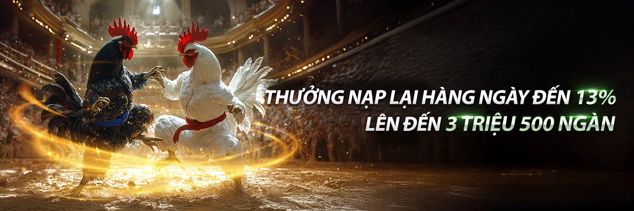 Đá gà trực tuyến đỉnh cao tại fly88 ae vip