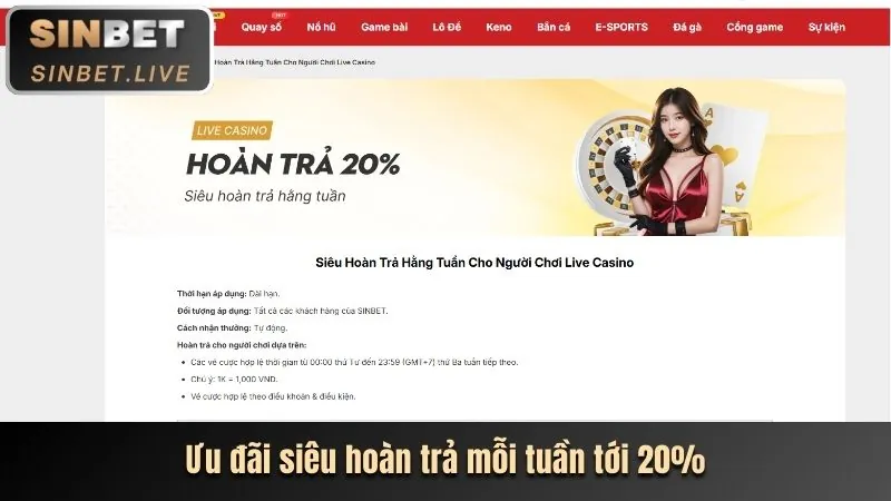Giao diện thân thiện và tối ưu di động